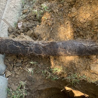 Photo 7-10-2021, 12 15 25 PM